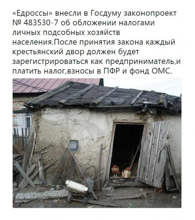 Единороссы внесли в Госдуму законопроект о налогообложении личных подсобных хозяйств (ЛПХ)