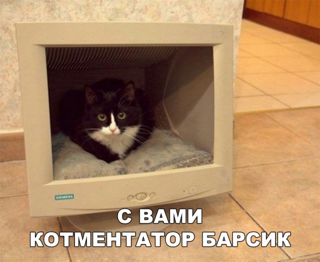 Немного милоты