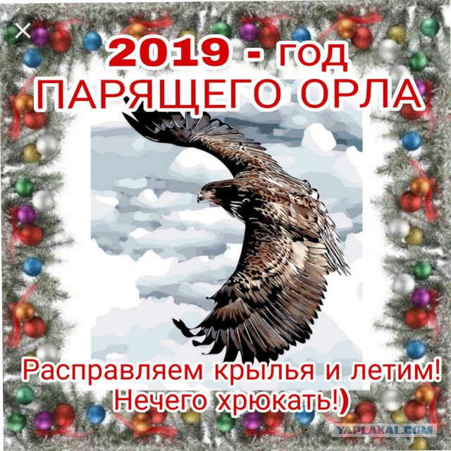 А вам ваша свинья подарки дарит?