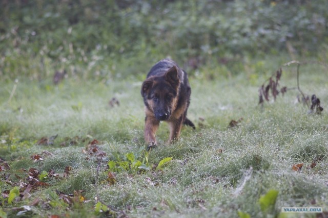 Слушаю вас внимательно!