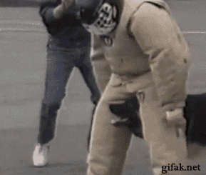 Собака-ненападака