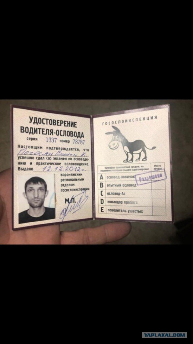 Подборка интересных и веселых картинок 17.03.19