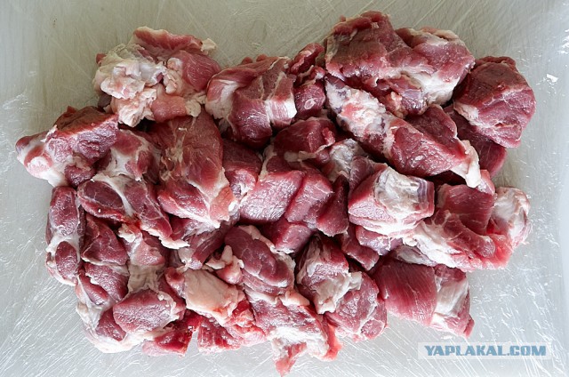 Бубен + шашлык из свинины маринованный в луковом соке.