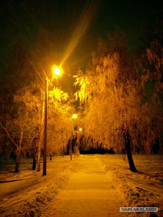 Немного зимних фото