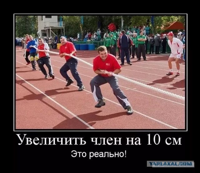 Прислали: "У меня маленький член 14 см, как с этим жить?"