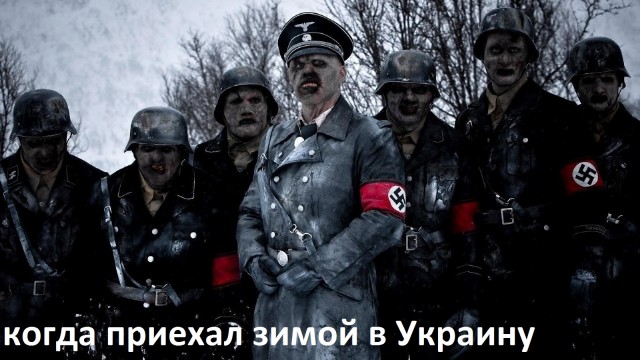 Выживание. На полгода