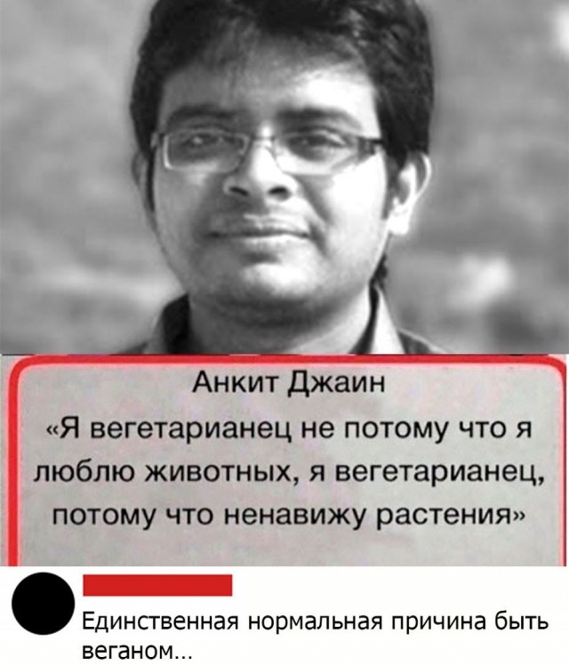 Немного картинок с надписями и без - 42