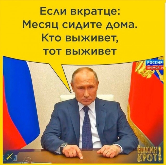 Просто картинки