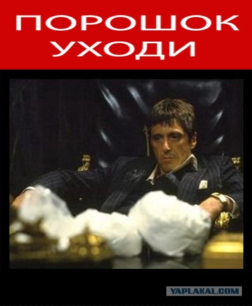 Порошок