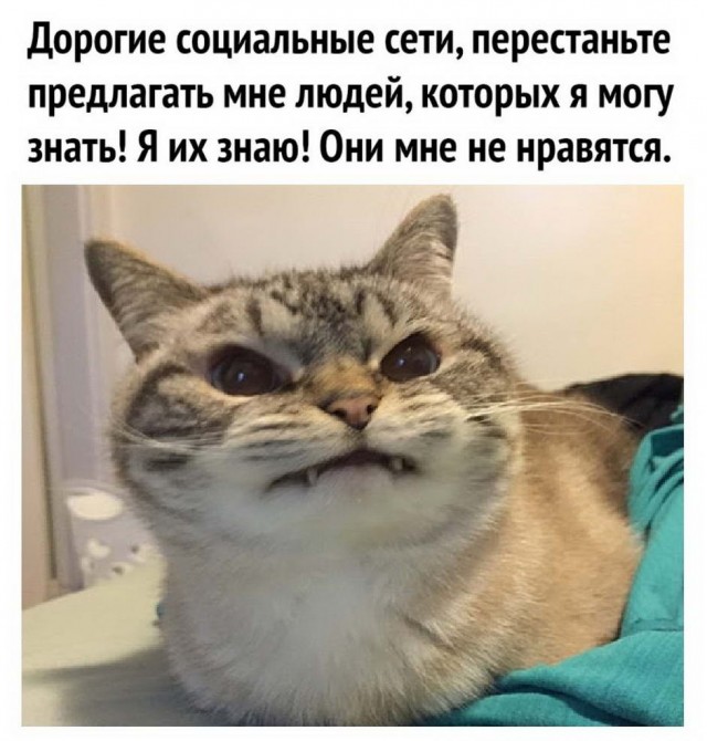 Бредзона 19.09.20