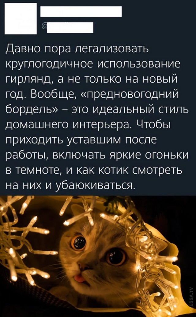 Картинки и мемы для настроения 011