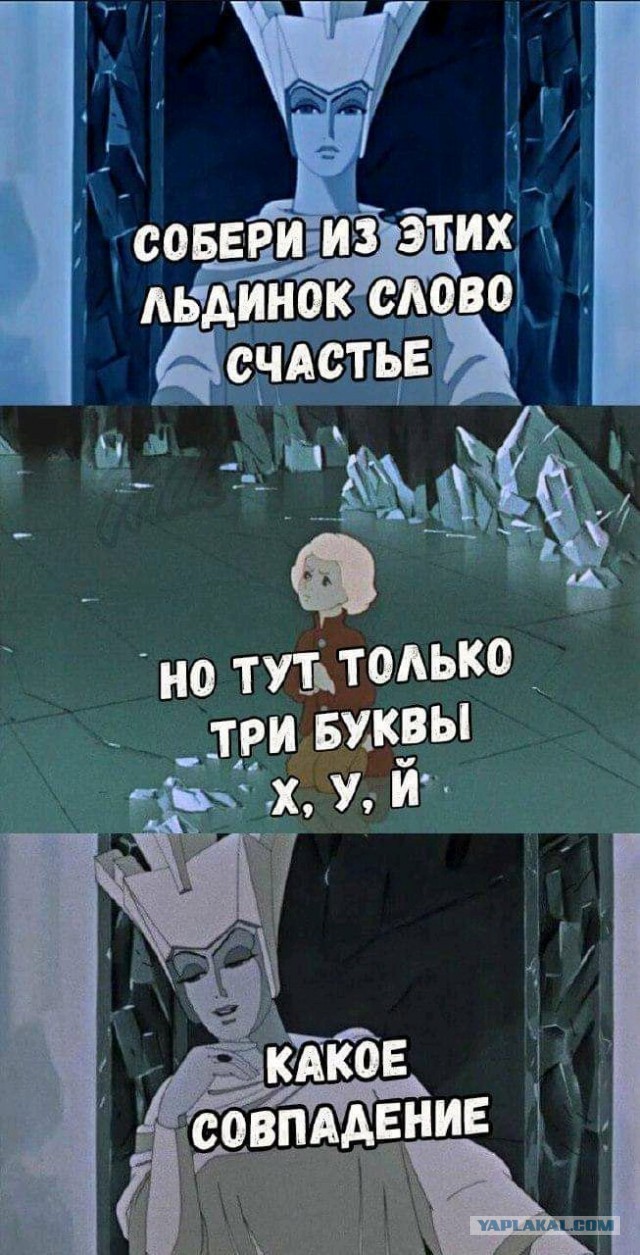 Бредзона 31.01.21