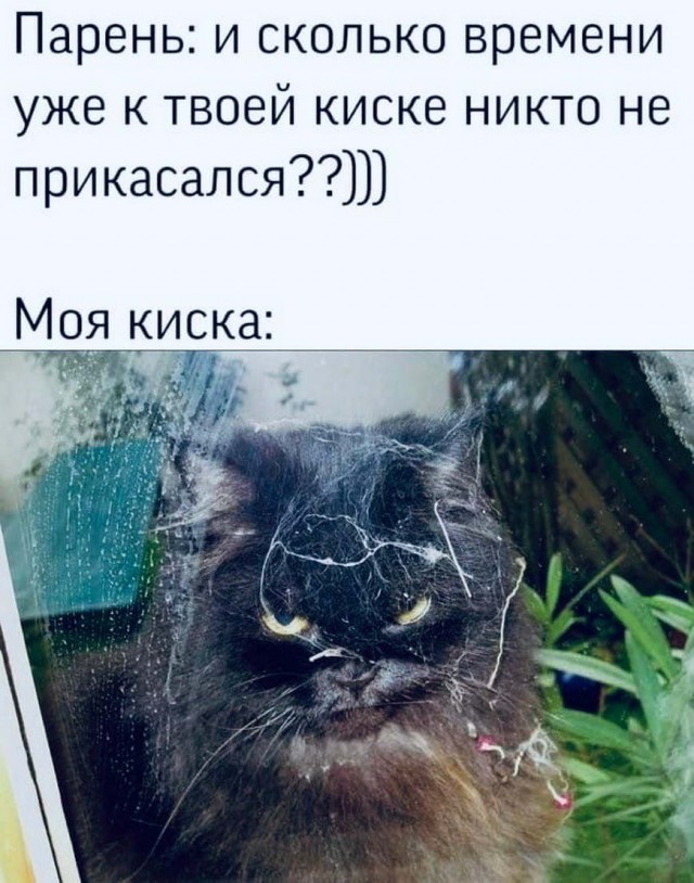 Картинки обо всём и не о чём