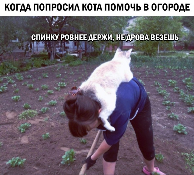 Странные короткие комиксы