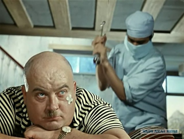 Собака - уколов бояка