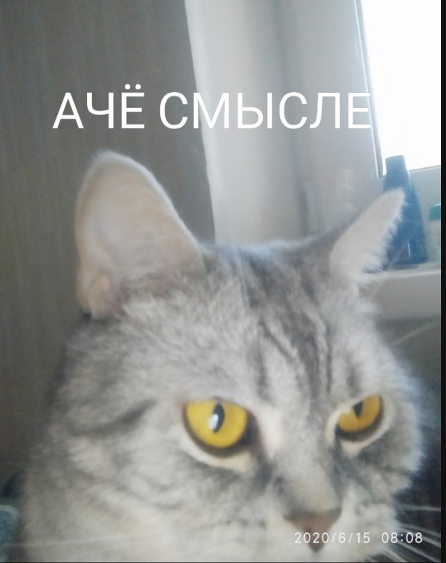 Домашние монстры