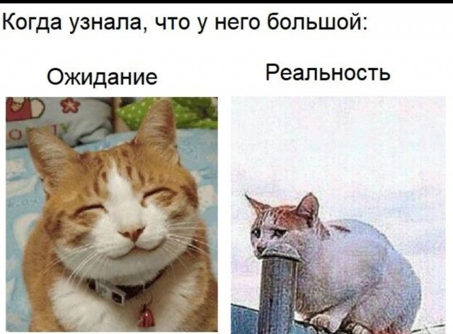 Пятница. И немного слегка пошлых картинок с надписями и без 16+ (13.08))