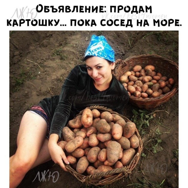 Воскресные Кретинизмы из сети 12.09.2021