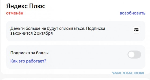 Пару промокодов ЯндексПлюс отдам