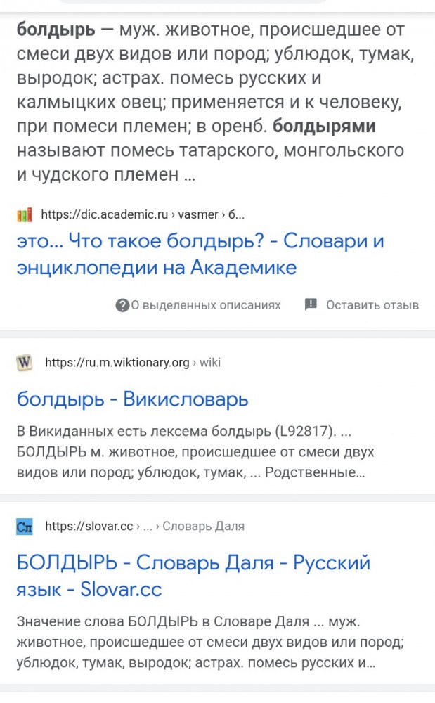 Подборка диких помесей собак