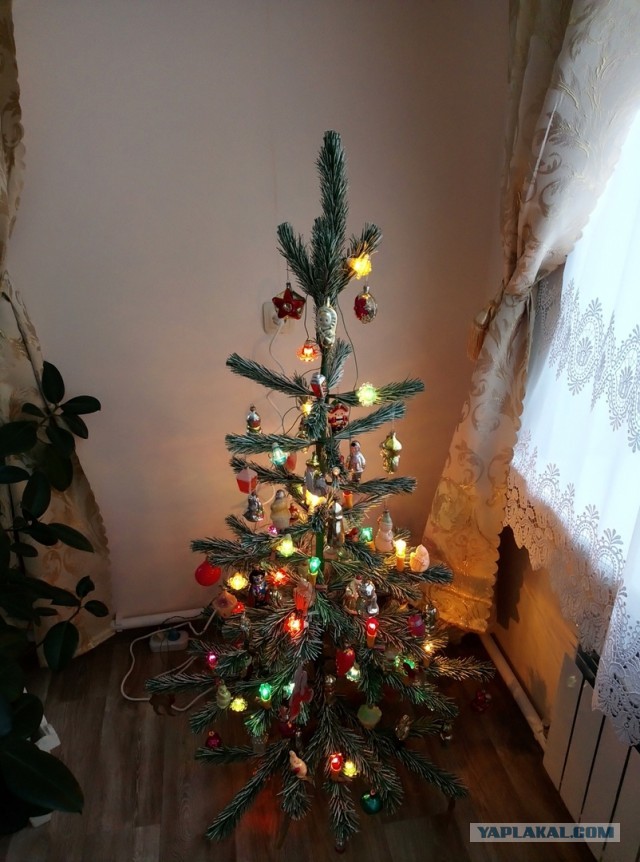А давайте меряться ёлками!