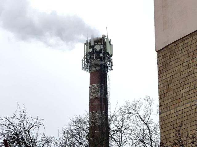 Пандемия. Коронавирус. Россия и мир. Часть 29