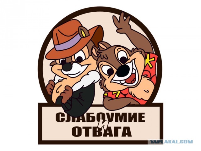 Два фото