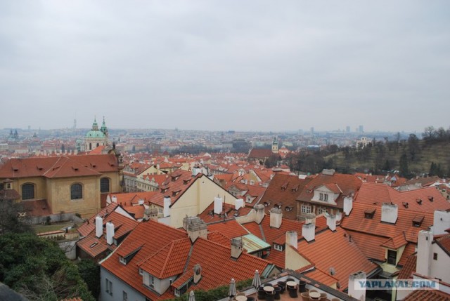 Жизнь в Чехии глазами русского студента