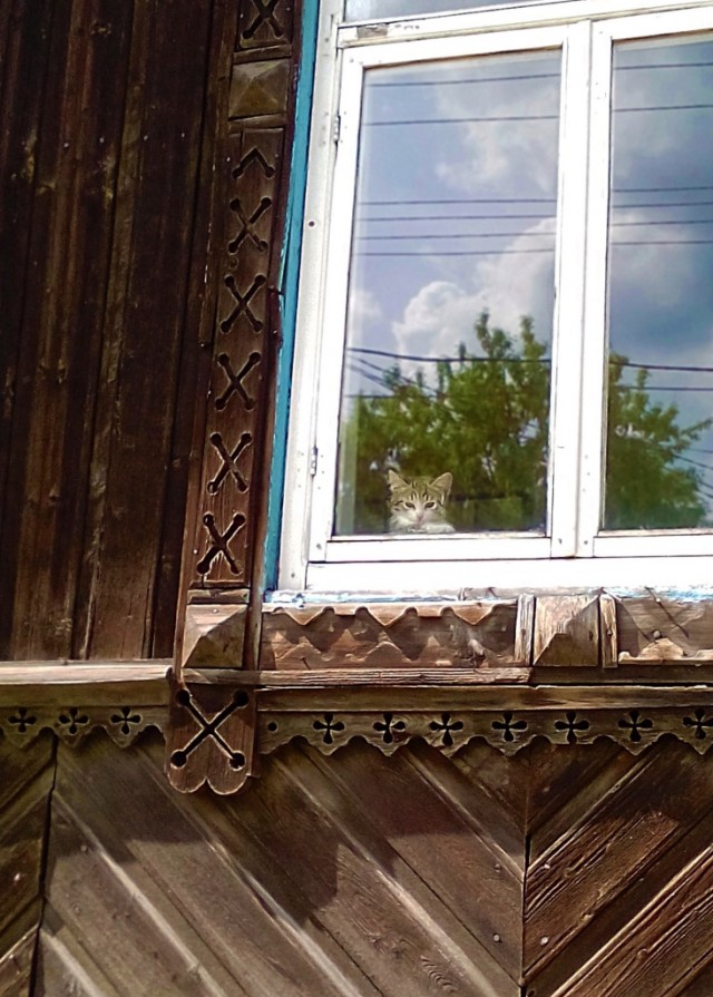 Деревенские, милые, шерстяные