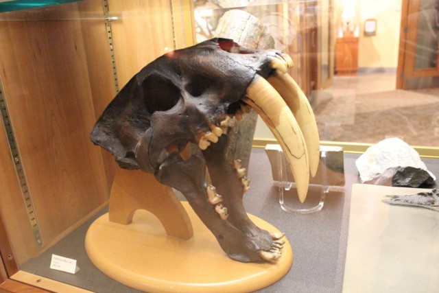 Поездка в Массачусетс