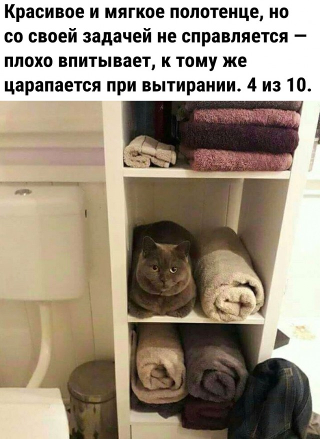 Так себе картинки 15.09.22