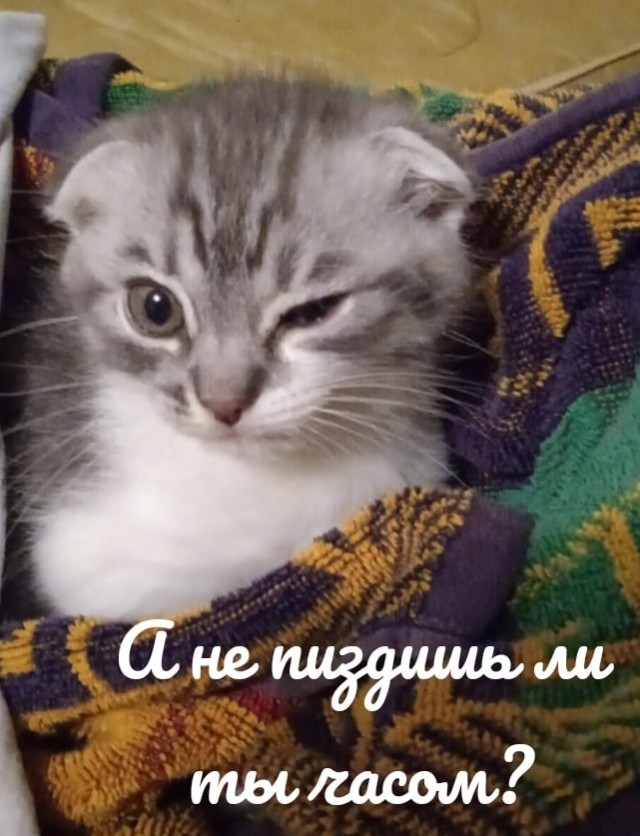 Операция на сердце