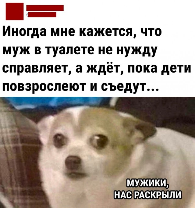 Так себе картинки 18.10.22