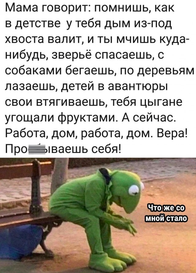 Так себе картинки 02.11.22