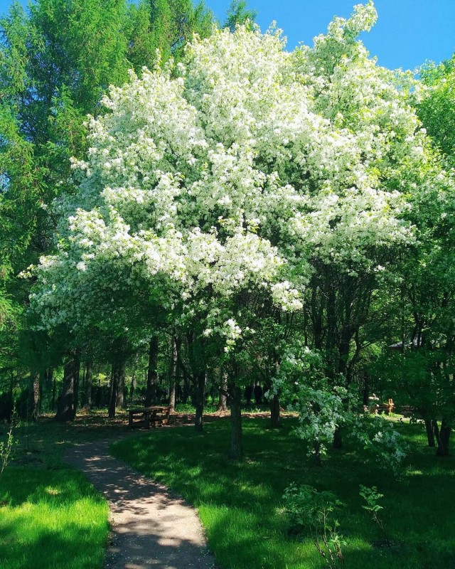 Фото с телефона