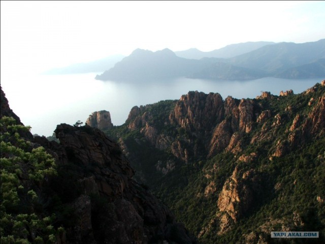 Франция. Корсика.