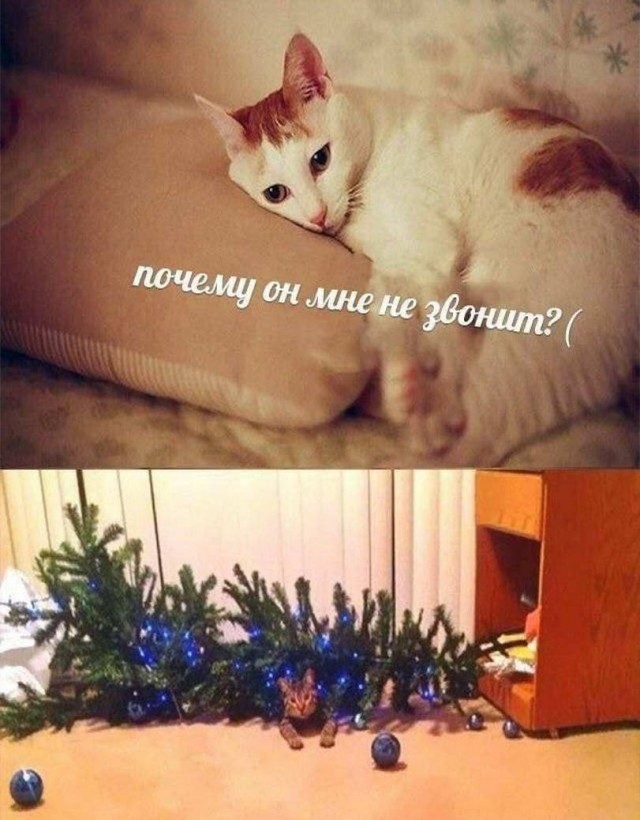 Немного картинок для настроения - 127