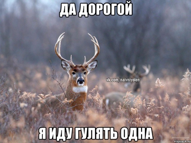 До развода рукой подать