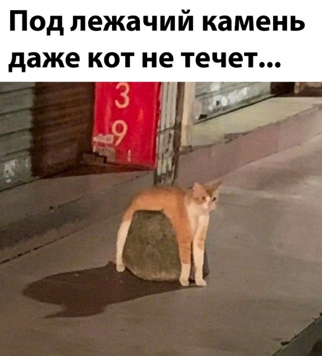 Картинки и мемы, всем хороших выходных