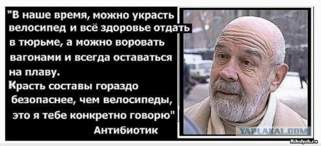 Суд вынес приговор жителю Железногорска, который ограбил друга, чтобы устроить погибшему коту достойные поминки