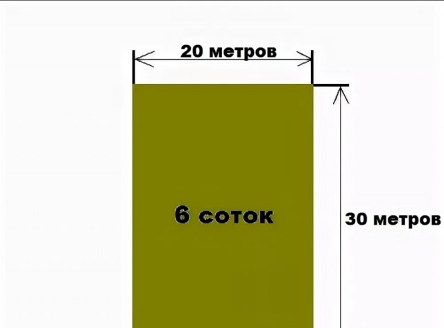 Дать с дачи: какие штрафы ждут садоводов в 2023 году