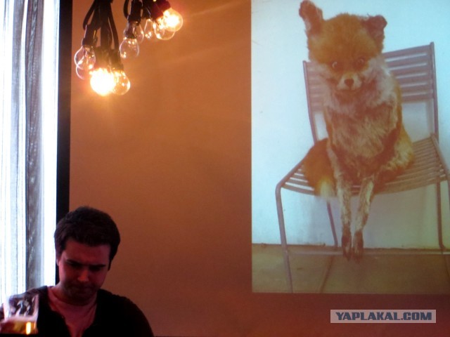 Ну что, кто доехал таки до упоротого лиса? :)