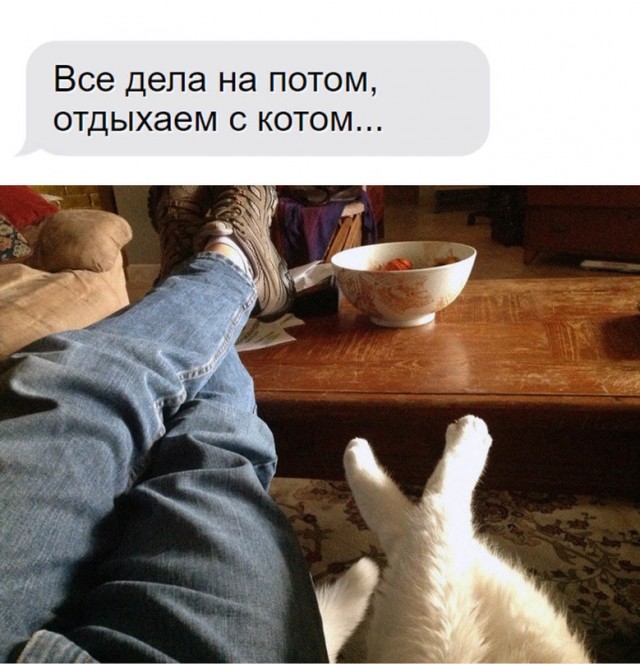 Картинки и мемы для настроения - 181