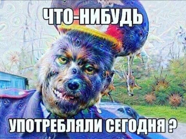 Оцените талант пожалуйста