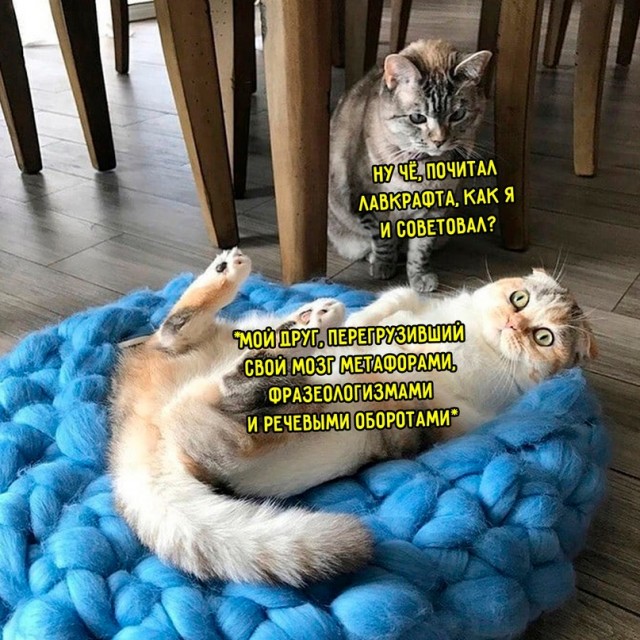 Весёлый полтишок 12.07 23