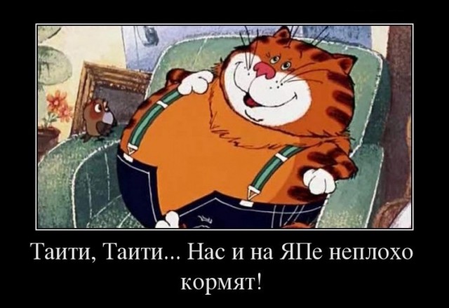 Умер самый толстый кот России Степан. Он жил в Бийске