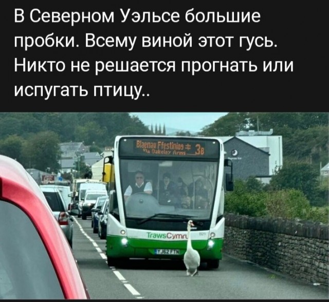Шесть мифов о холостяках и их жизни