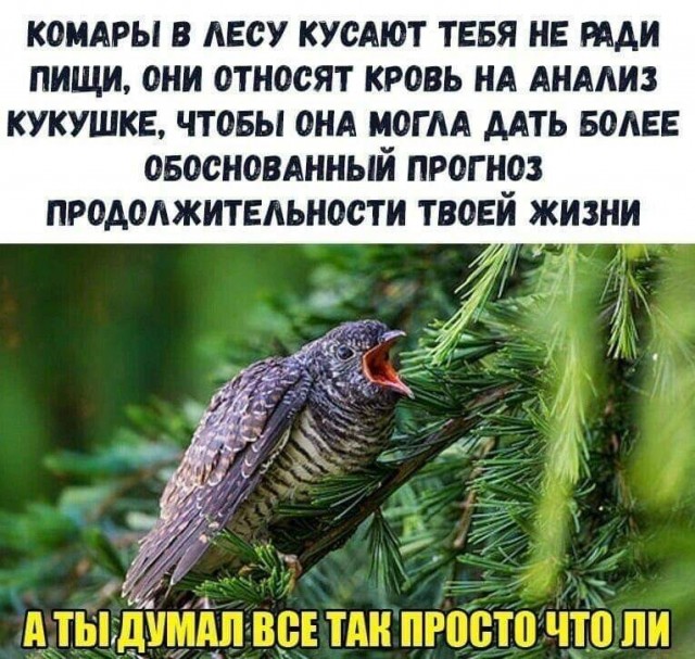 Картинки и буквы