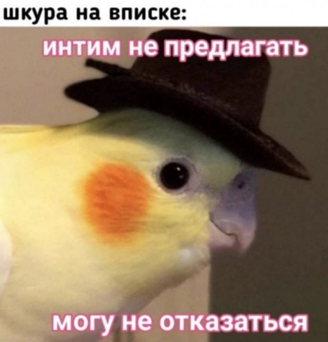 Всего понемногу. От 11.12.23