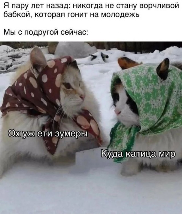 Новый апокалипсис — это поколение зумеров